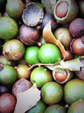 Natural Macadamia Nuts 200g